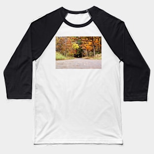 Autumn Tree Tunnel Baseball T-Shirt